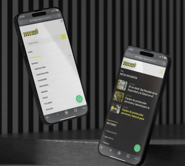 Desarrollo de Sitio Web Seminuevos Agroequipos