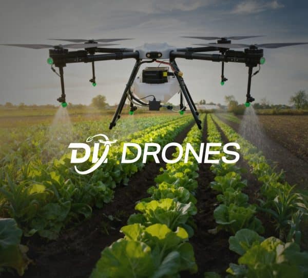 Diseño de Logotipo y Branding DL Drones