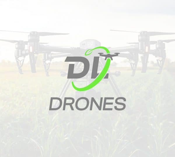 Diseño de Logotipo y Branding DL Drones