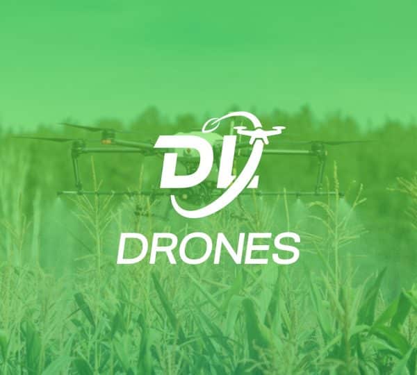 Diseño de Logotipo y Branding DL Drones
