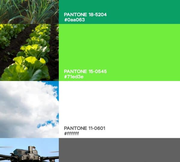 Diseño de Logotipo y Branding DL Drones